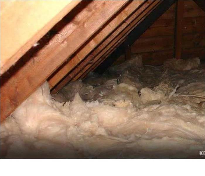 picture of an attic with insulation  that has asbestos in it