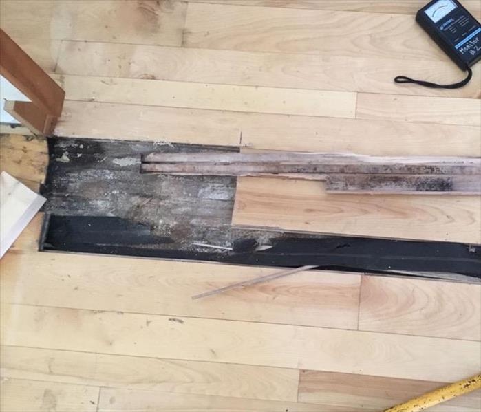 wood floor board removed