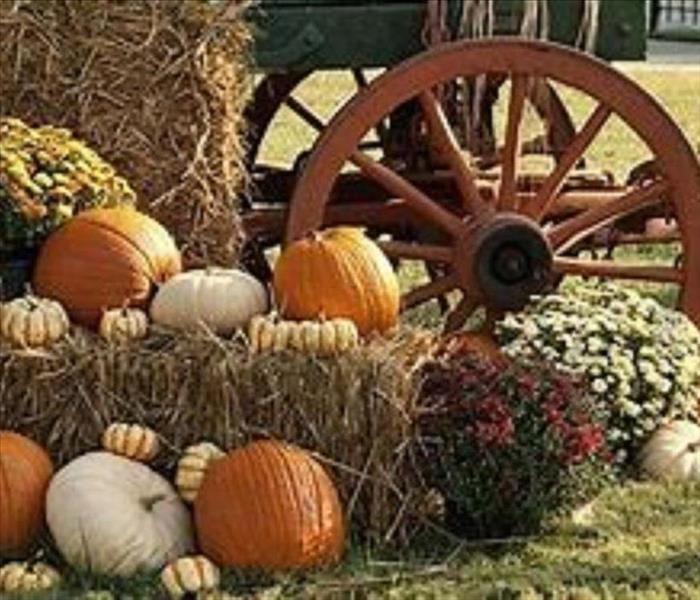 An image of pumpkins, gourds and hay bales at a fall festival