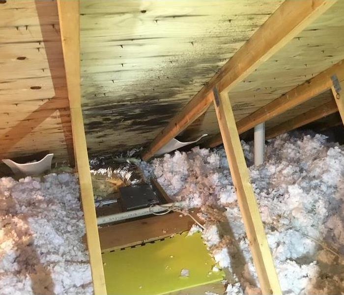 Attic roof decking with black mold growth on it