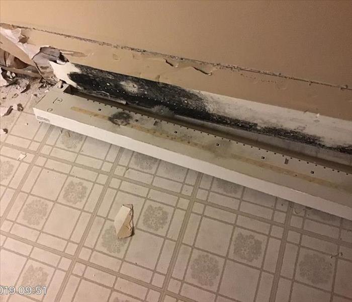 Storm Damage Causes Mold