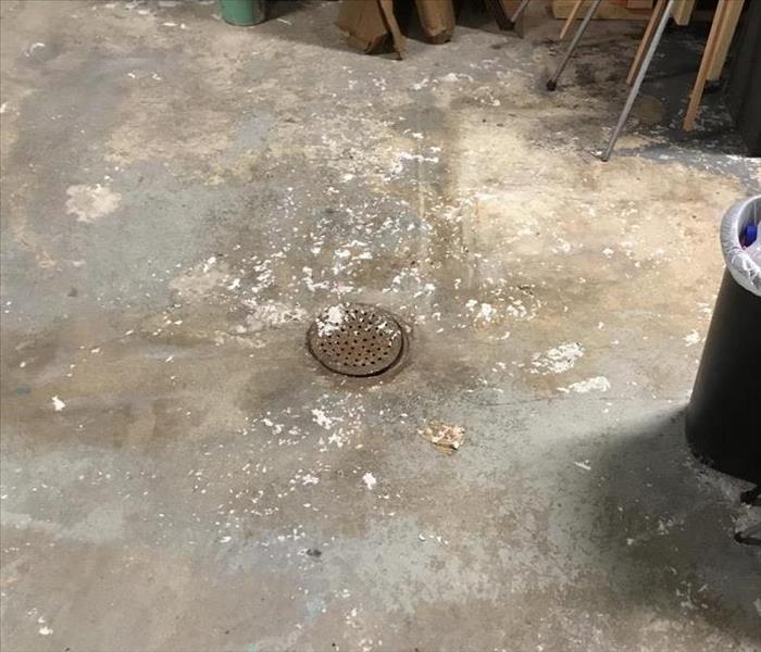 Dried up toilet paper from sewage back-up of drain on basement floor